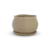 שוליים מסולסלים